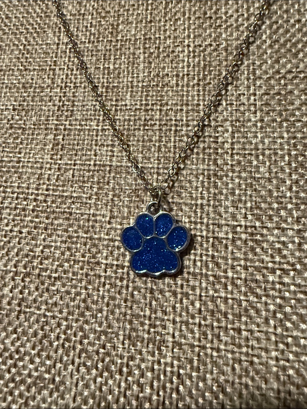 5/$25 Blue Paw necklace set